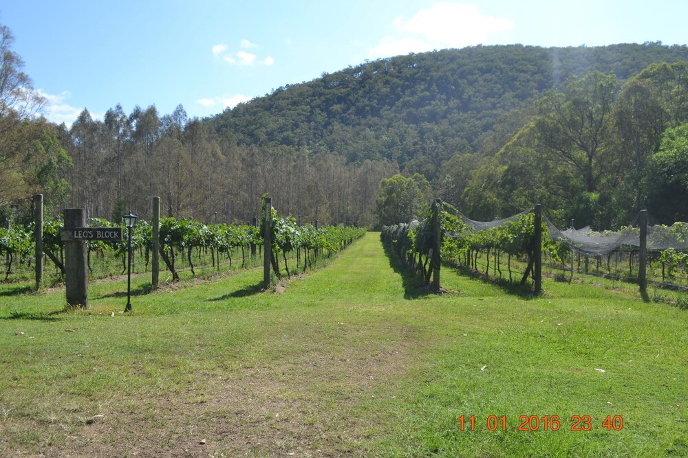 Barney Creek Vineyard Cottages