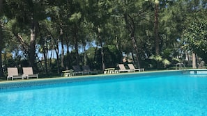 2 piscinas al aire libre, sombrillas, tumbonas