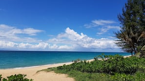 บนชายหาด, เก้าอี้อาบแดด, ผ้าเช็ดตัวชายหาด, โยคะ