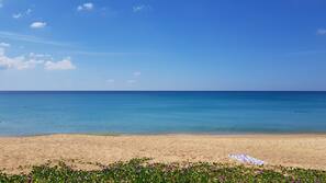 บนชายหาด, เก้าอี้อาบแดด, ผ้าเช็ดตัวชายหาด, โยคะ