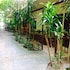 B2 @ Samui Beach Resort