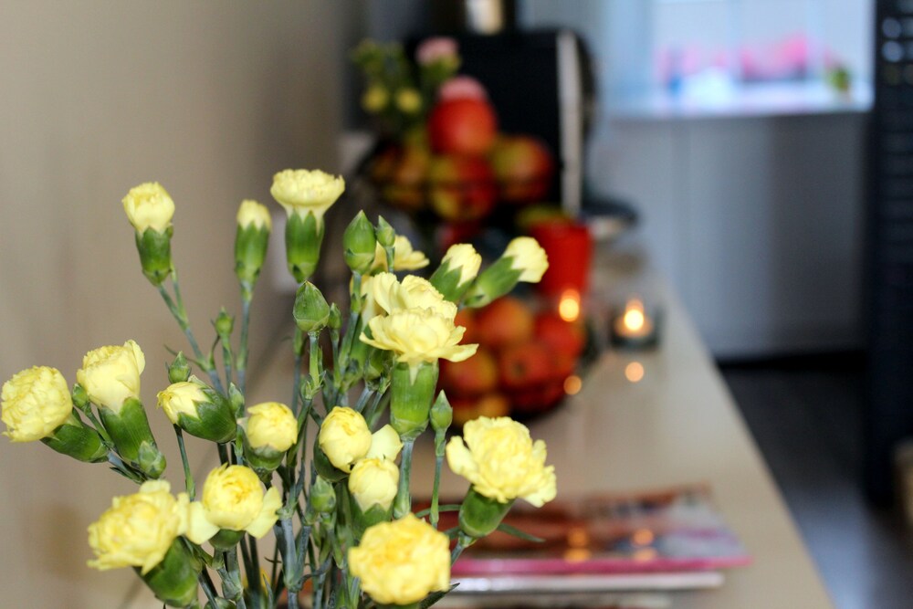 Foto - 25 Paddington Hotel