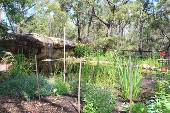 Storey Grange Deals Reviews Springwood Aus Wotif - 