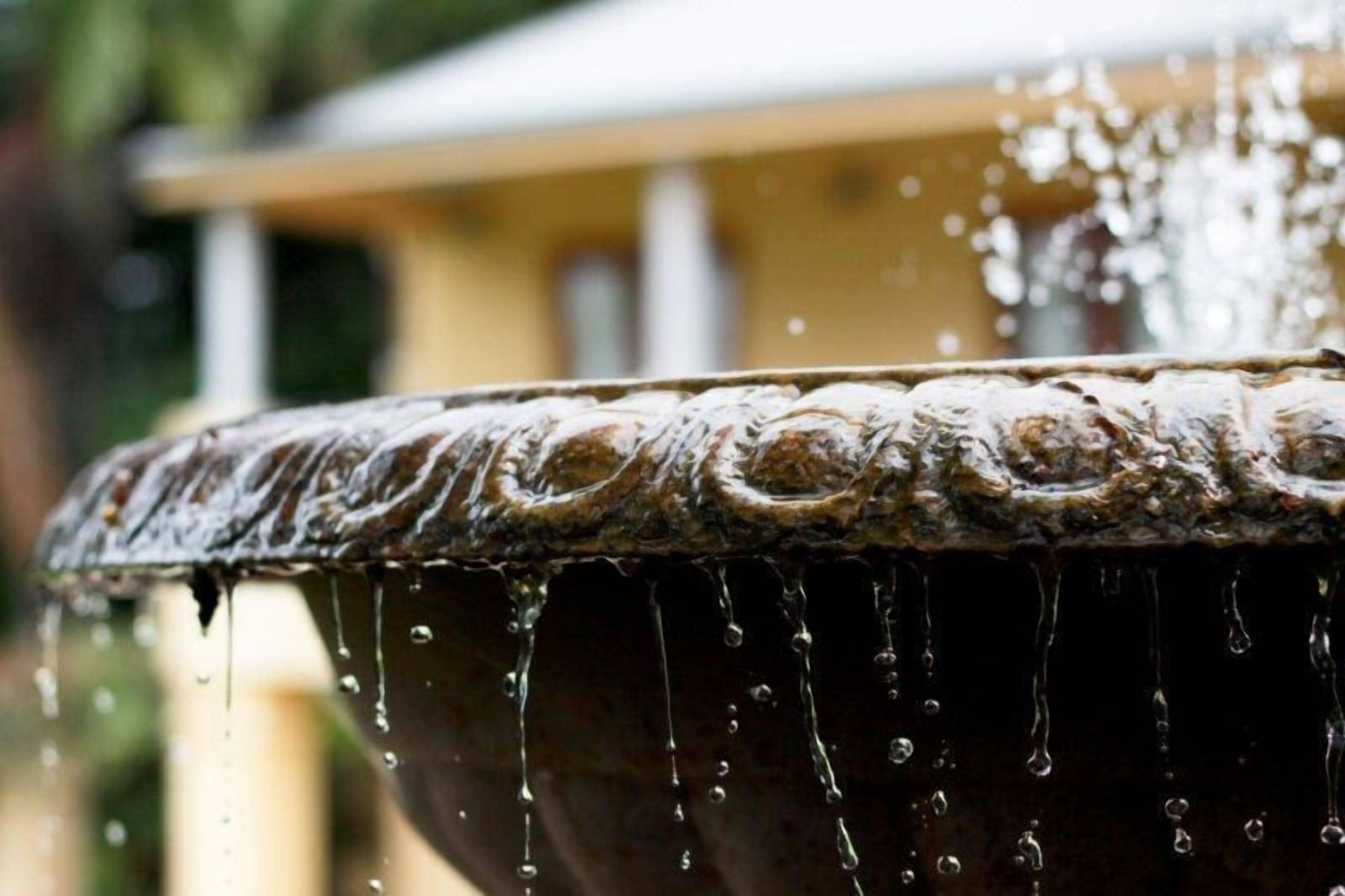 Victoria's at Ewingsdale Byron Bay