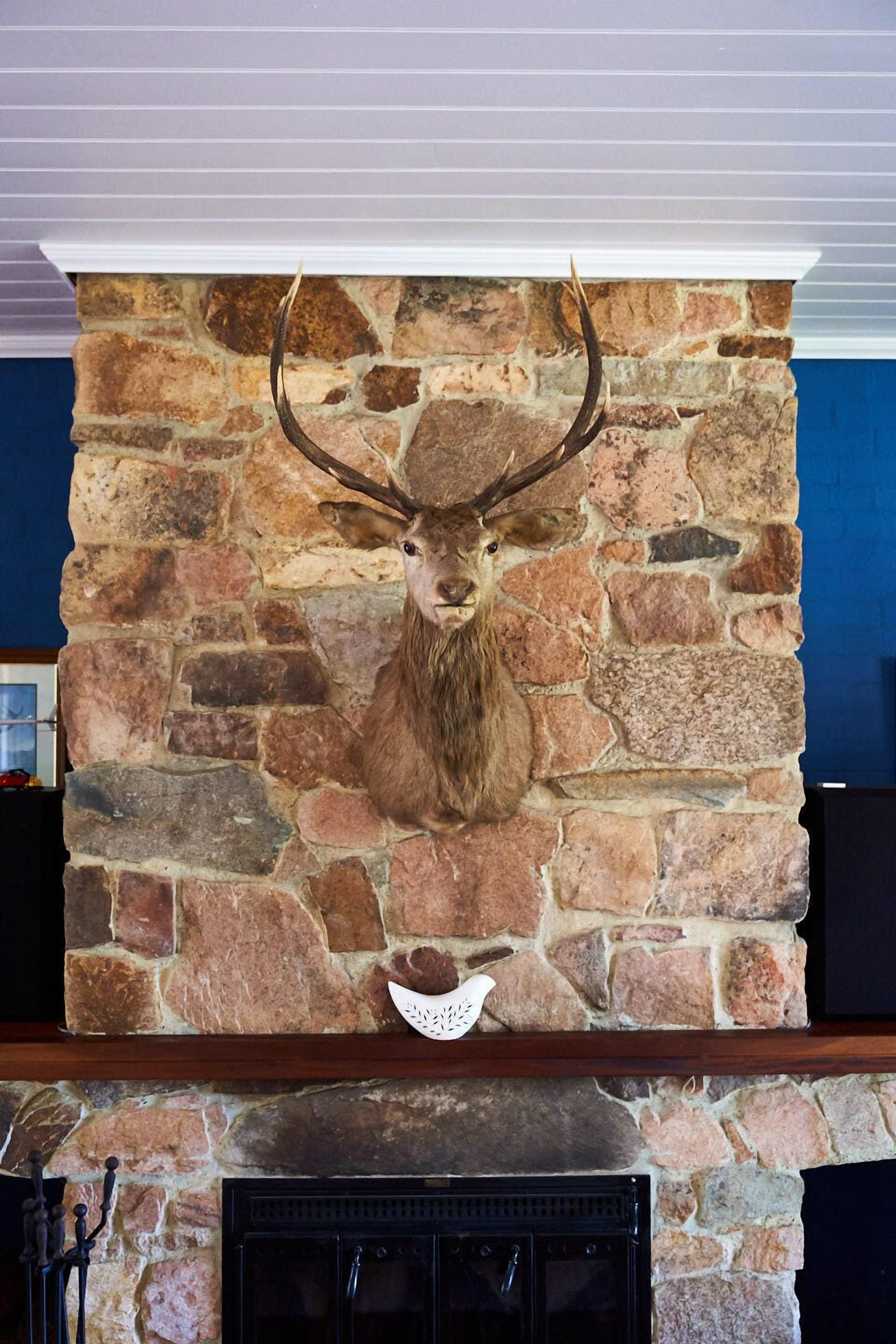 Victoria's at Ewingsdale Byron Bay