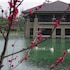 Narada Resort & Spa Liangzhu in Yuhang, China