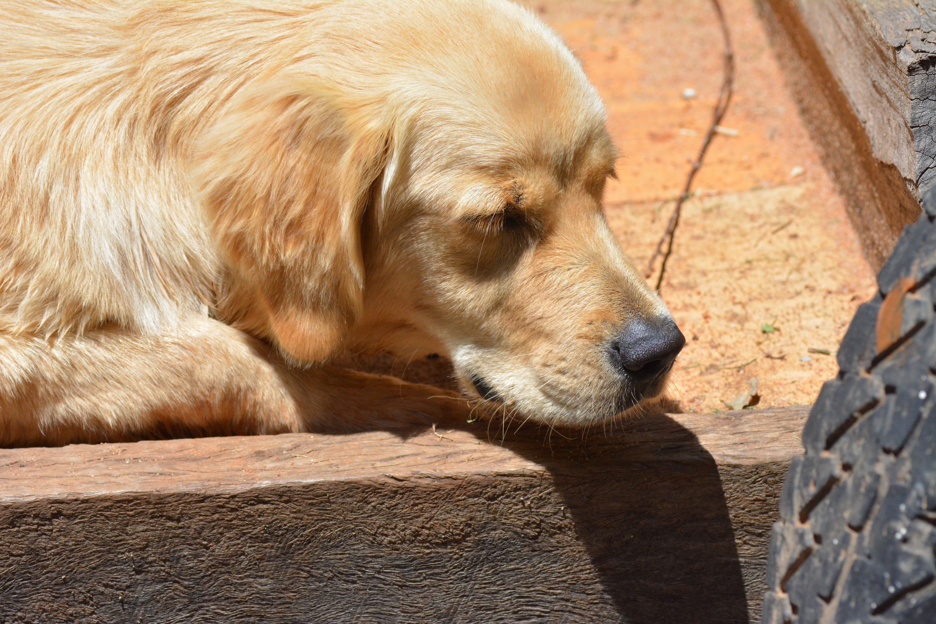 Emaroo Cottages Broken Hill