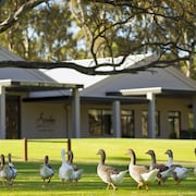 Mclaren Vale Vacation Rentals Short Term Apartments For Rent