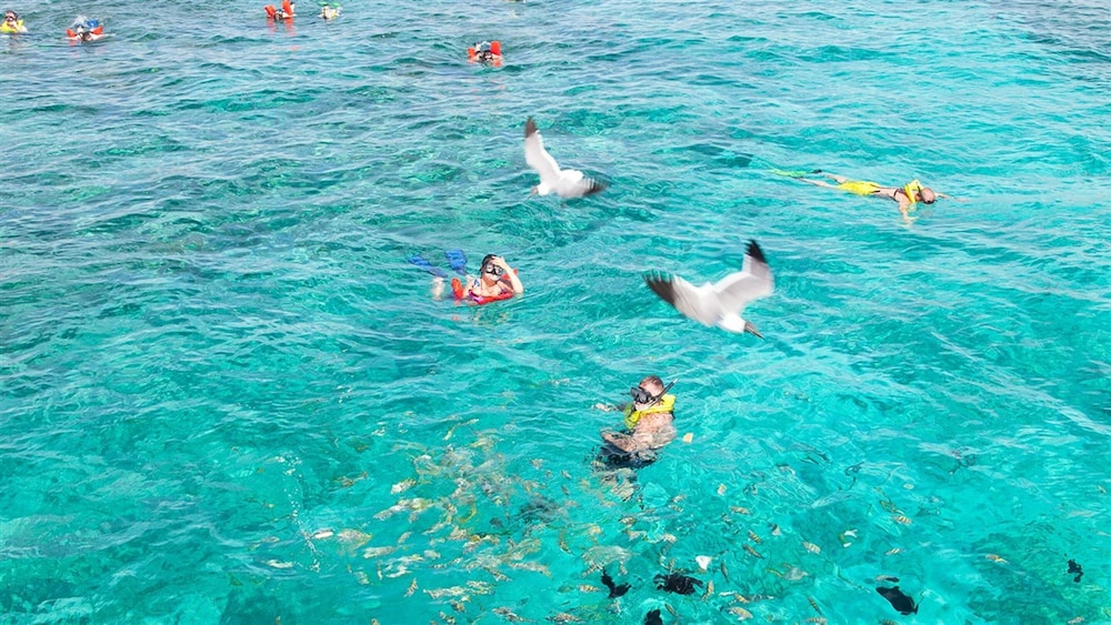 The Marlin Taino Beach Resort Clubs Freeport Best Rates