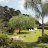 Tenuta Turchi