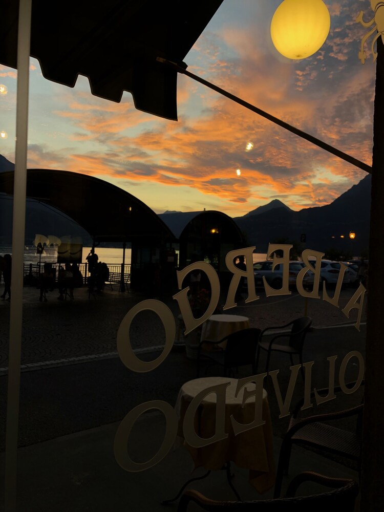 Photo - Hotel Olivedo