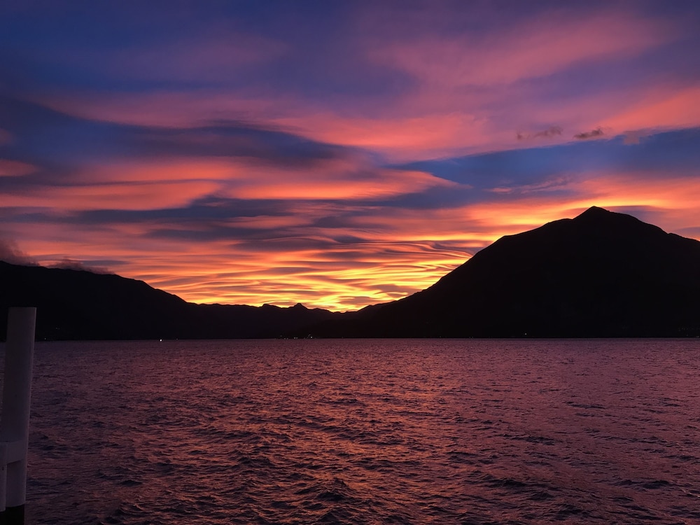 Photo - Hotel Olivedo