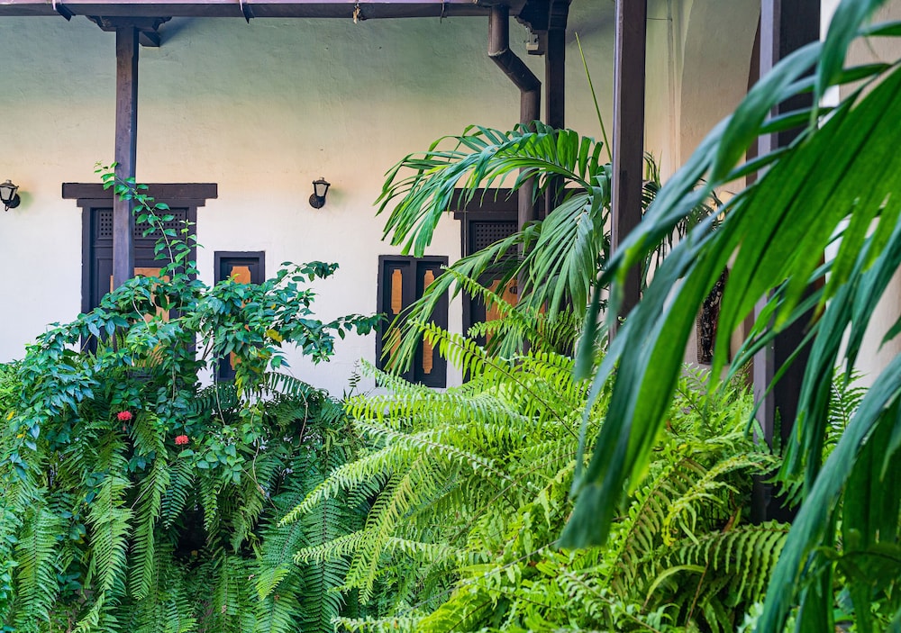 Photo - Hotel El Viajero Centro