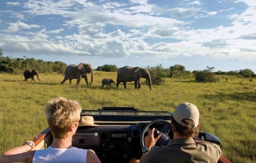 Kichaka Luxury Game Lodge in Assegaairivier, South Africa