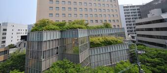 天神の格安子連れにおすすめホテル予約 ファミリー向け エクスペディア 天神の格安子連れにおすすめホテル予約 ファミリー向け エクスペディア