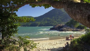 Serviettes de plage