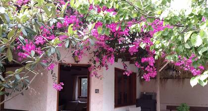 Olive Tree Cottages