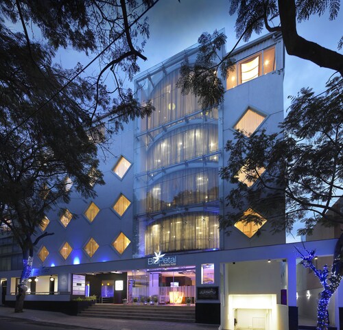 w-100 hotel_img