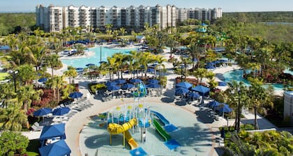 The Grove Resort & Water Park Orlando