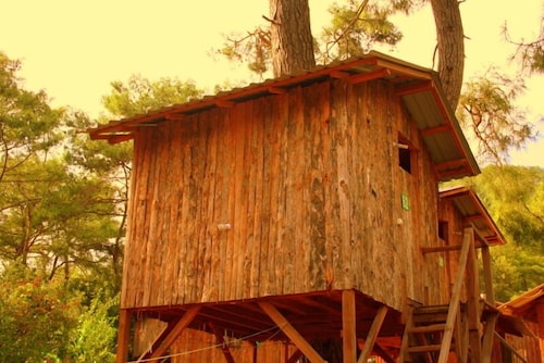 Saban Tree Houses in Olympos, Turkey