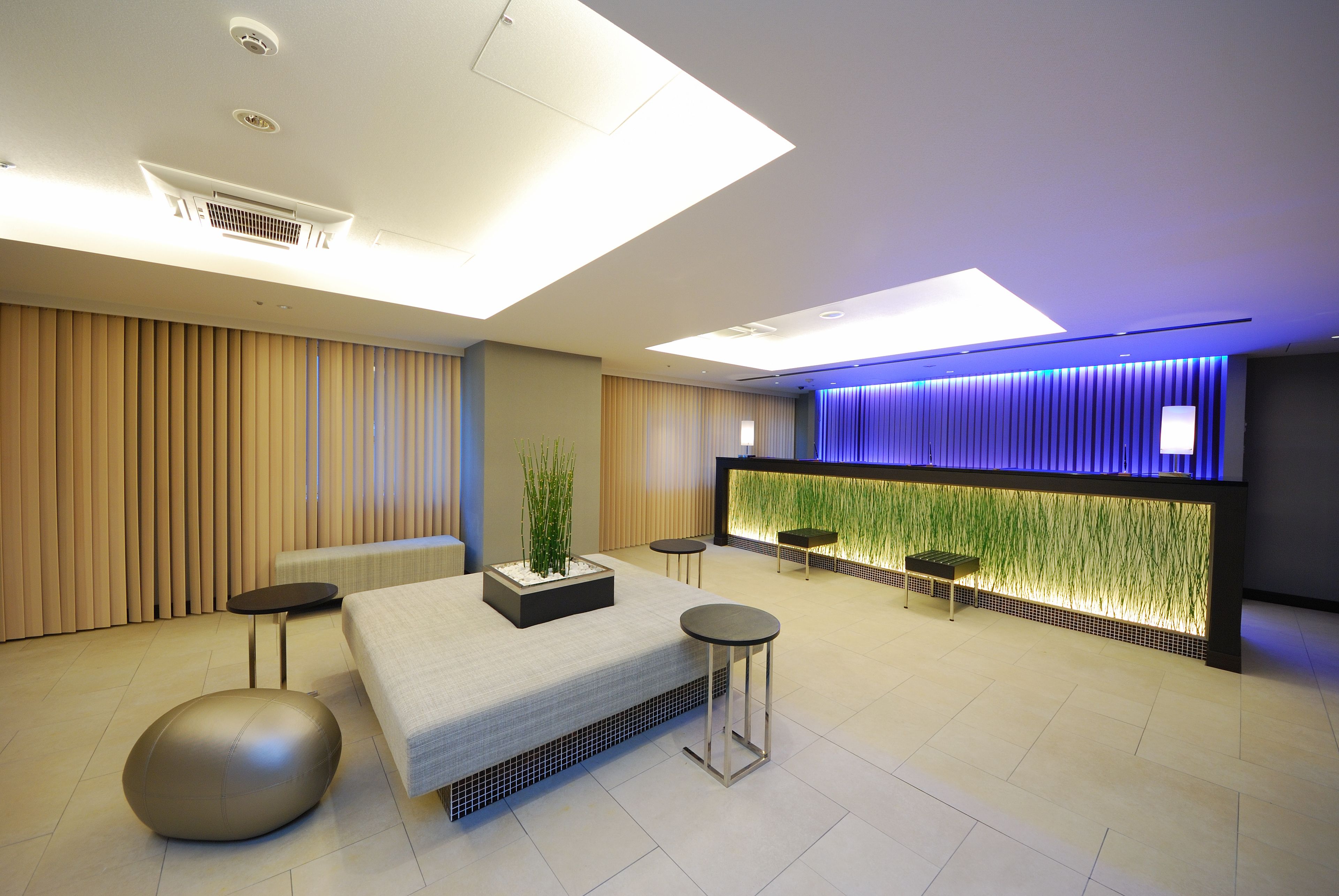 Sotetsu Fresa Inn Tokyo-Kyobashi