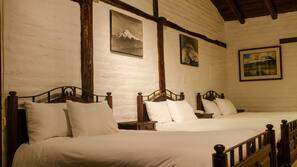 Premium bedding, down comforters, in-room safe, individually decorated