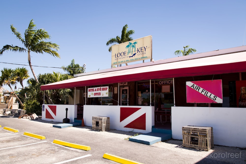 Looe Key Reef Resort In Ramrod Key Hotel Rates Reviews On Orbitz