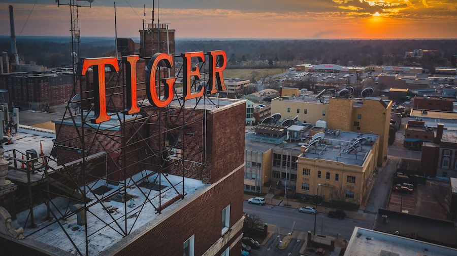 The Tiger Hotel