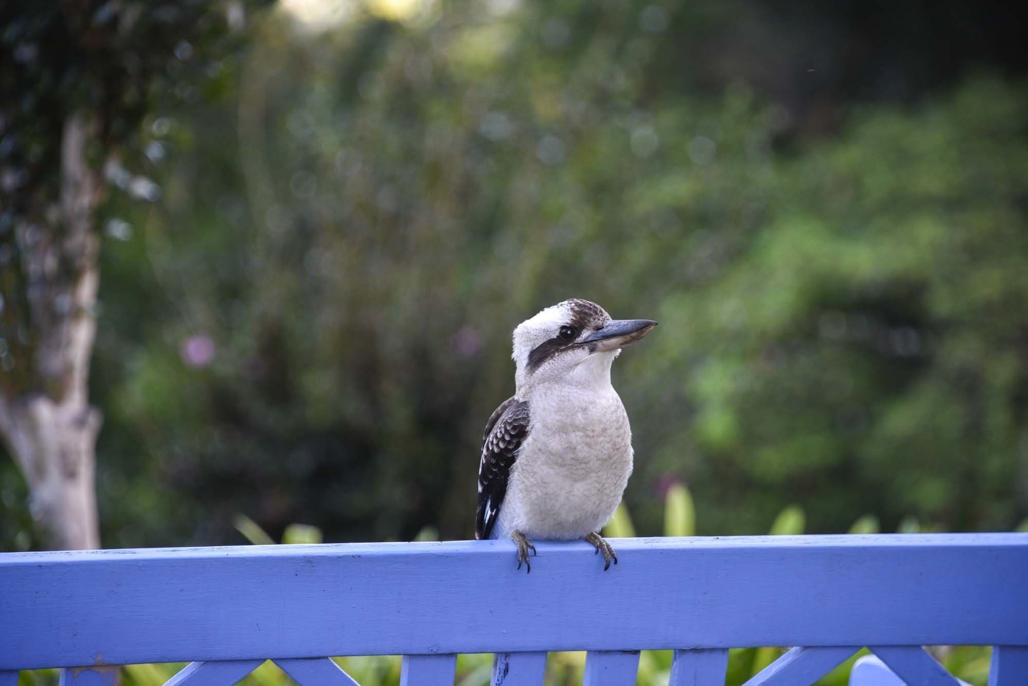 Ninderry Manor Luxury Retreat