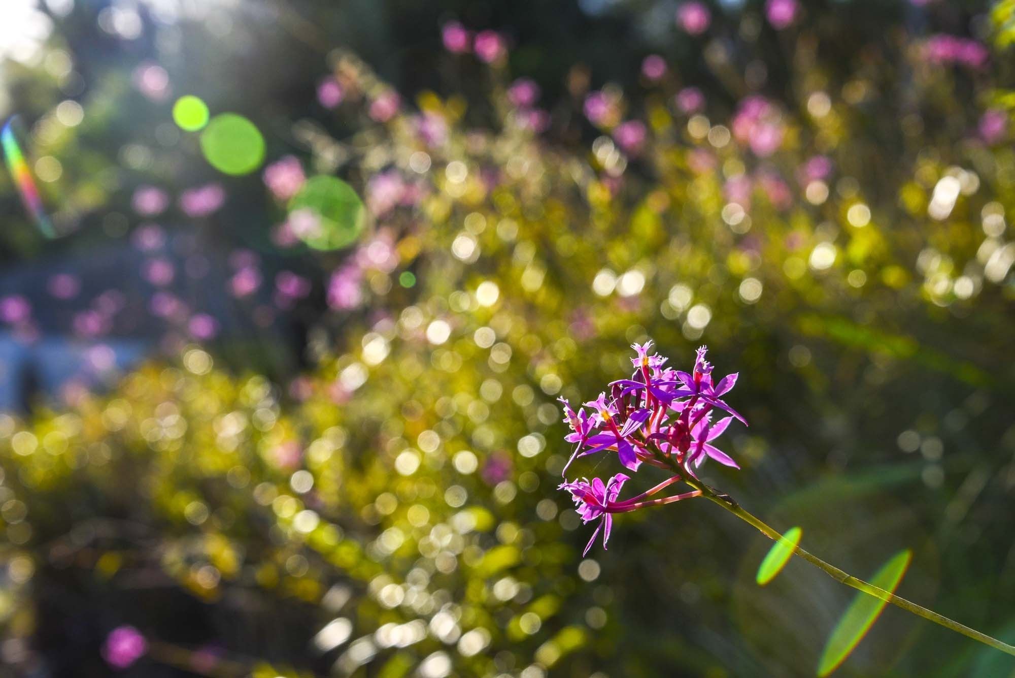 Ninderry Manor Luxury Retreat