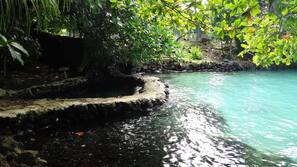 Natural pool