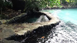 Natural pool