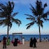 Beach Comber in Zamami, Japan