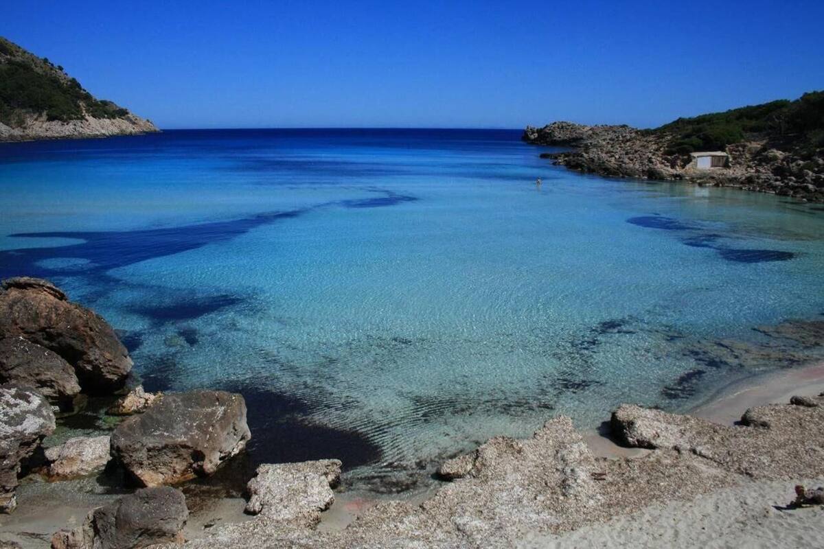 Apartaments La Perla Negra Faciliteiten En Beoordelingen 21 Expedia Nl