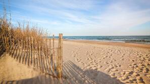 On the beach, beach bar, surfing