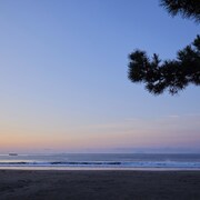 伊豆半島のカップルにおすすめのホテル 記念日に泊まりたいおしゃれな宿 エクスペディア