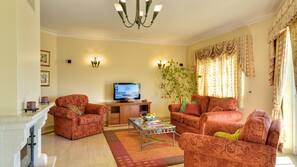 50-cm plasma TV with satellite channels, fireplace, DVD player