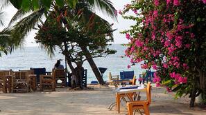 Bãi biển riêng, lặn có bình dưỡng khí, lặn với ống thở
