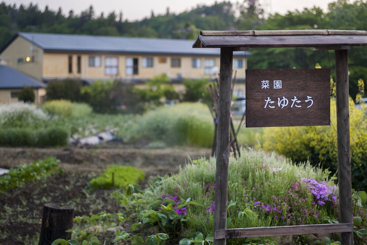 奥州平泉温泉附近冬宫静香亭 平泉 日本 21 优惠 点评和图片 Expedia