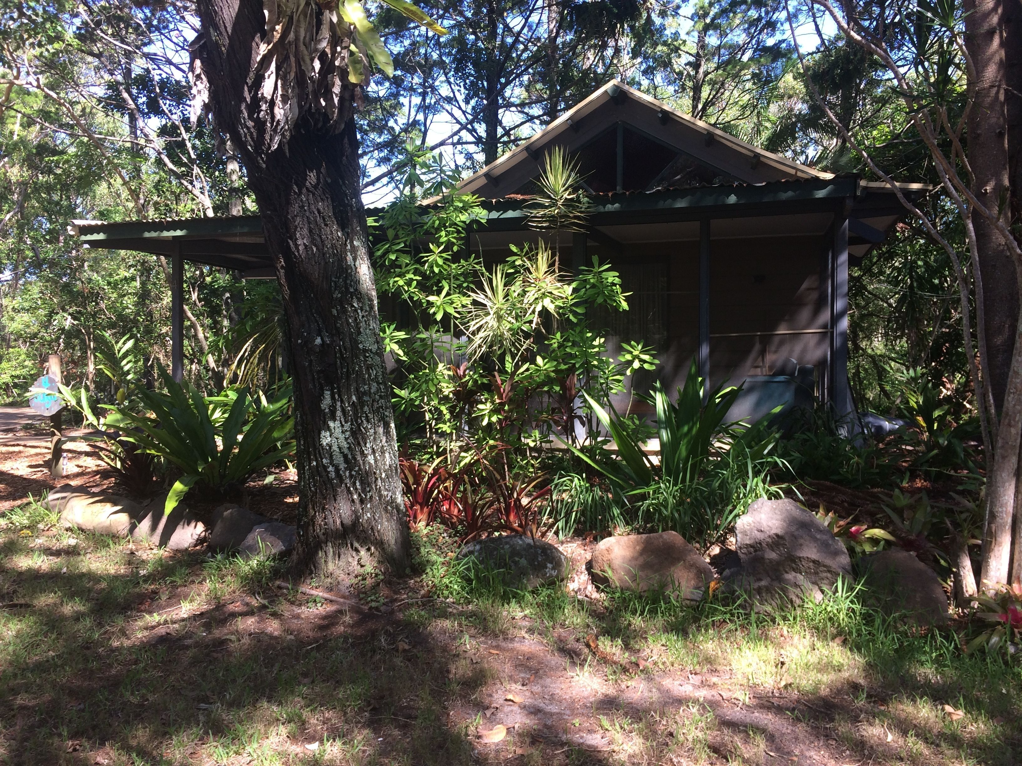 Byron Bay Rainforest Resort
