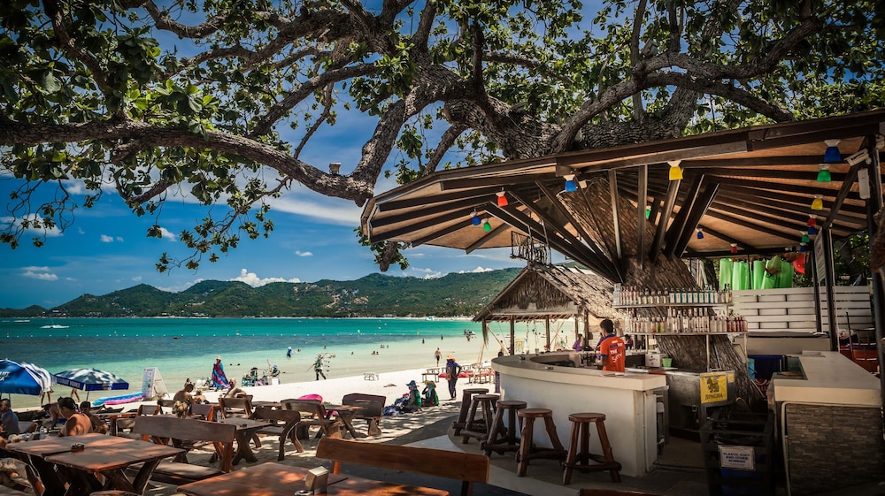 Ark Bar Beach Resort Koh Samui Expedia Ark Bar Beach Resort Koh Samui Expedia