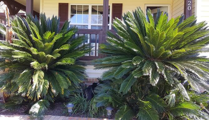 キャンピングカーの多くの賃貸料 口コミ 部屋写真 料金 お得情報 エクスペディア キャンピングカーの多くの賃貸料 口コミ 部屋写真 料金 お得情報 エクスペディア