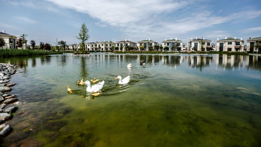 Dreamland Golf Hotel