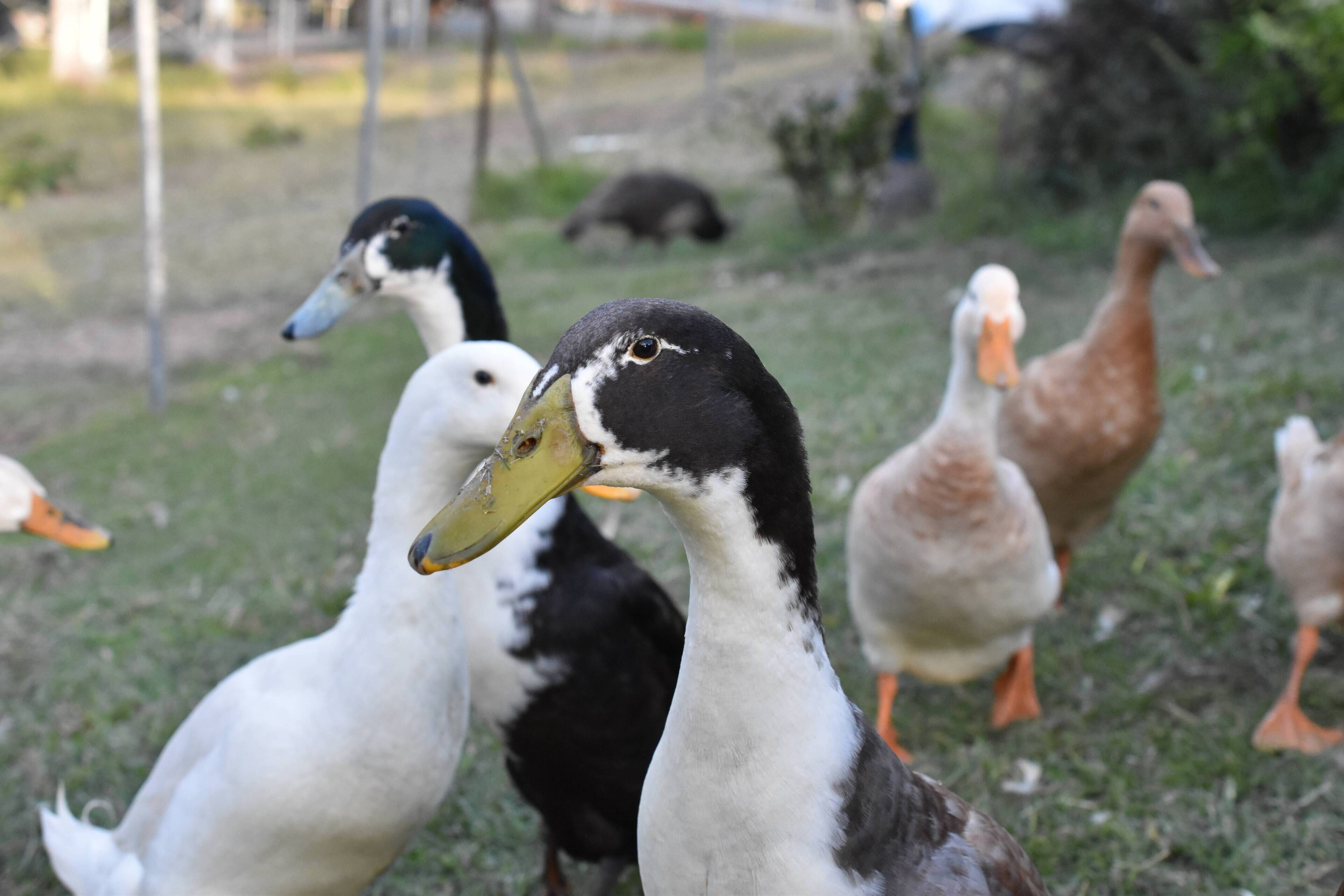 The Shed Conversion With Hot tub With Amazing Views@ Gold Coast Tree Houses