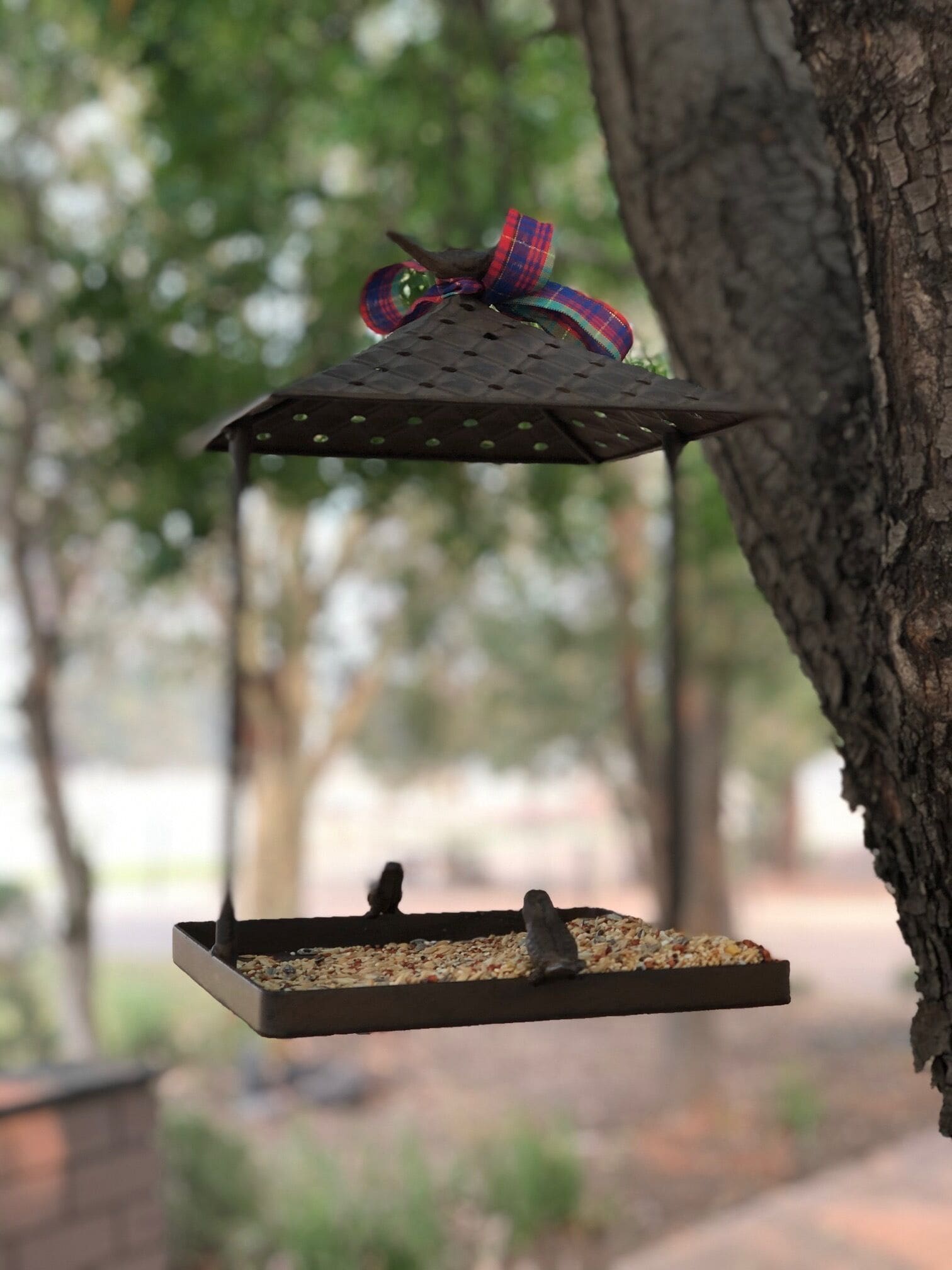 Econo Lodge Savannah Park Tamworth