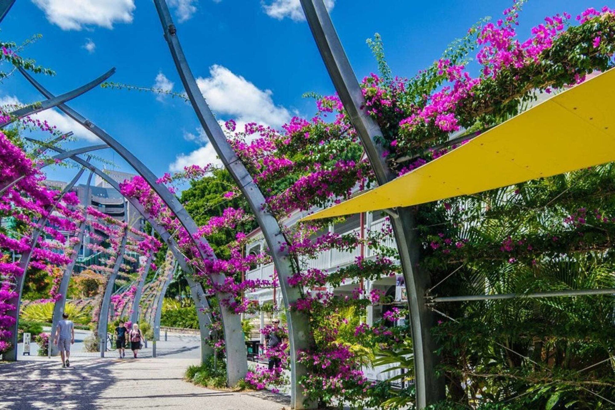 Southbank Arts+culture Central Views Pool Gym