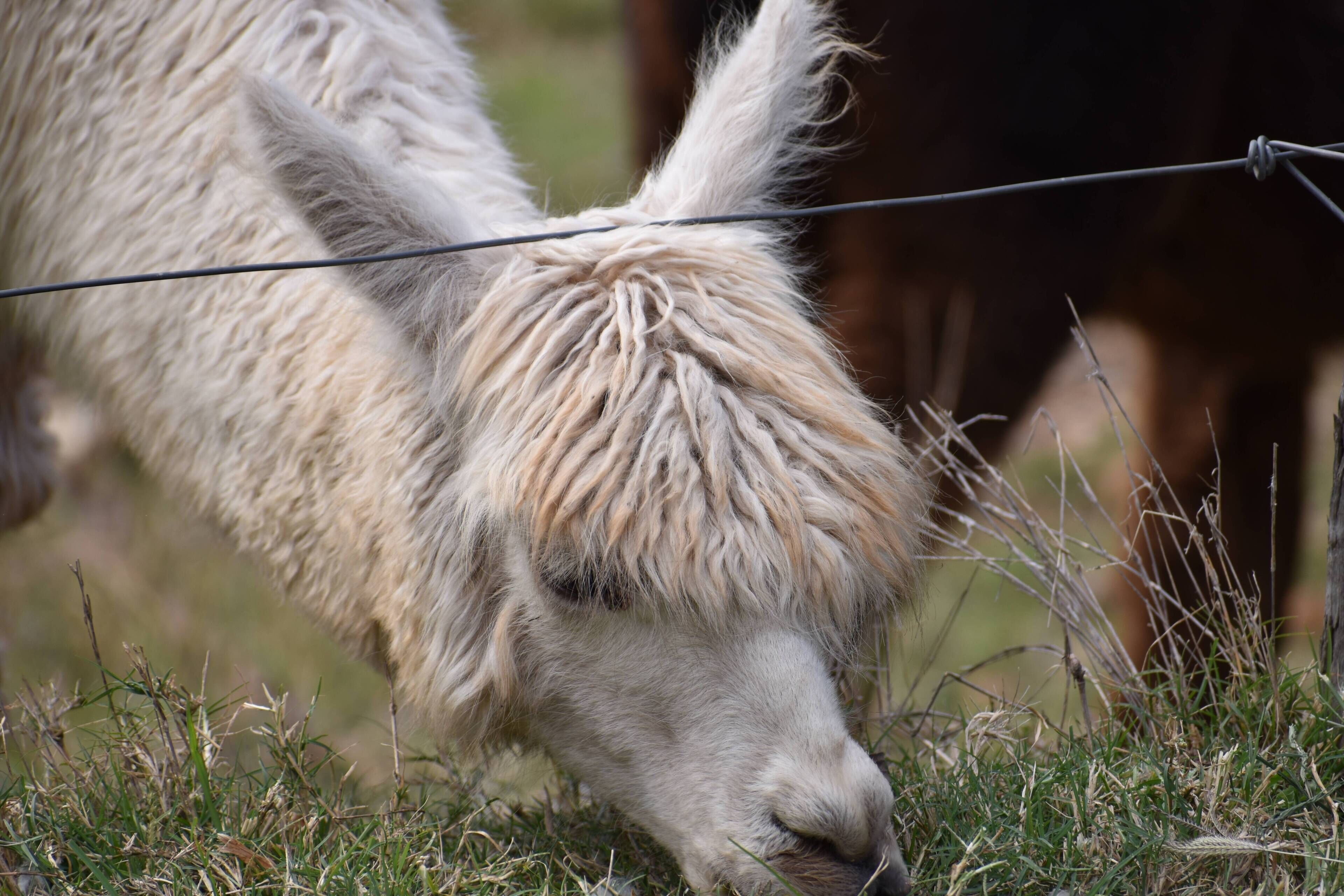 Tree House #1. Private, Stone Bath With Amazing Views to the Gold Coast.3levels