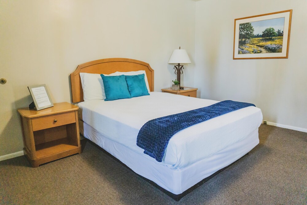 Private, hotel single room, 1 Queen bed, desk (Rm 10)