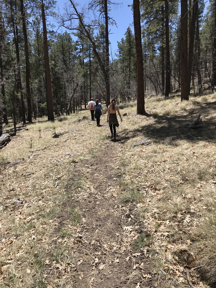  3 Br 2 Bath by Cabin, in the Pines and Aspens with US forest access