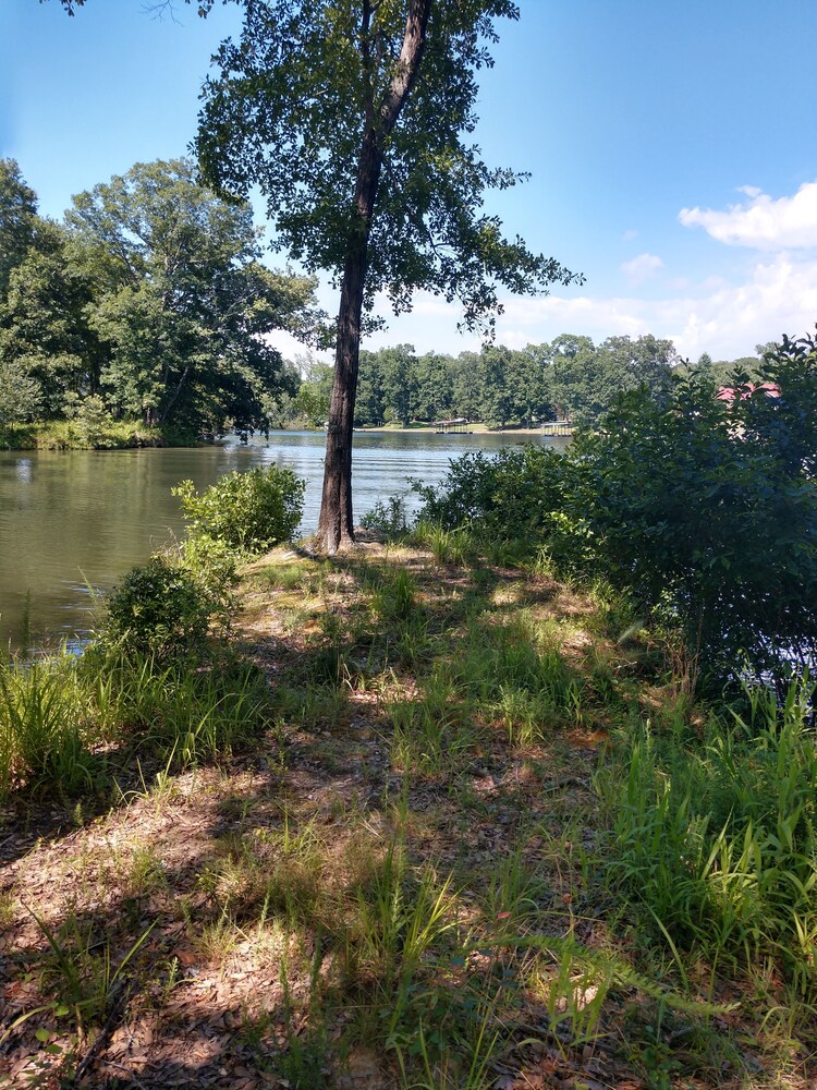 Glamping at it's finest! Private tree house on 40 acres on Lake
